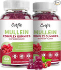 Catfit Mullein Quercetin Gummies for Lungs Detox &ampLymphatic DrainageElderberry Gummies for Respiratory &amp Immune SupportVegan Raspberry Flavor 120 Gummies