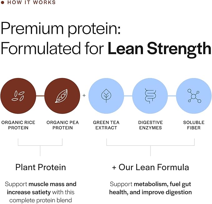 Gainful Lean Plant Protein Powder 20g Plant Protein per Serving Unflavored Supports Lean Muscle Metabolism &amp Satiety with Green Tea Extract Digestive Enzymes Organic Fiber Vegan 14 Servi