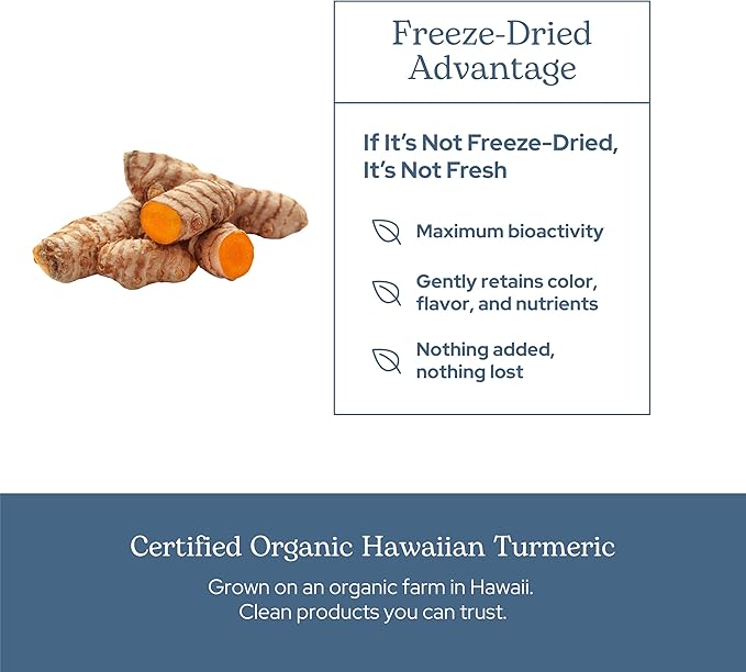 Eclectic Herb - Organic Turmeric Capsules | Musculoskeletal System &amp Joint Health Support | Herbal Supplement | Vegan Non-GMO Gluten Free Freeze-Dried (90 CT | 395 mg)