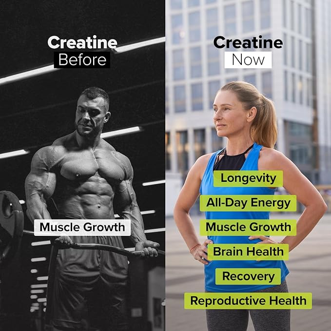 Complement Protein &amp Creatine Bundle | Organic Vanilla Protein + Micronized Creatine for Recovery &amp Energy