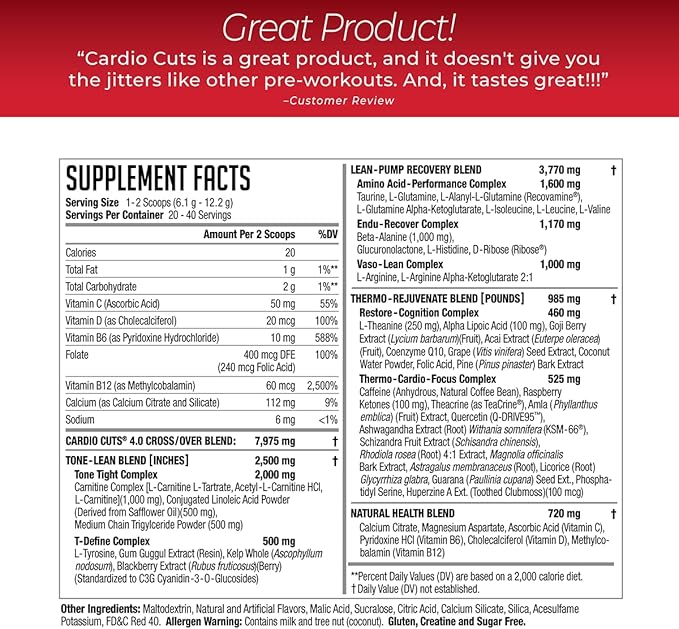 NDS Nutrition 4.0 Pre Workout Supplement - Advanced Weight Loss and Pre Cardio Formula with L-Carnitine CLA MCTs L-Glutamine and Safflower Oil - Cherry Slush (40 Servings)
