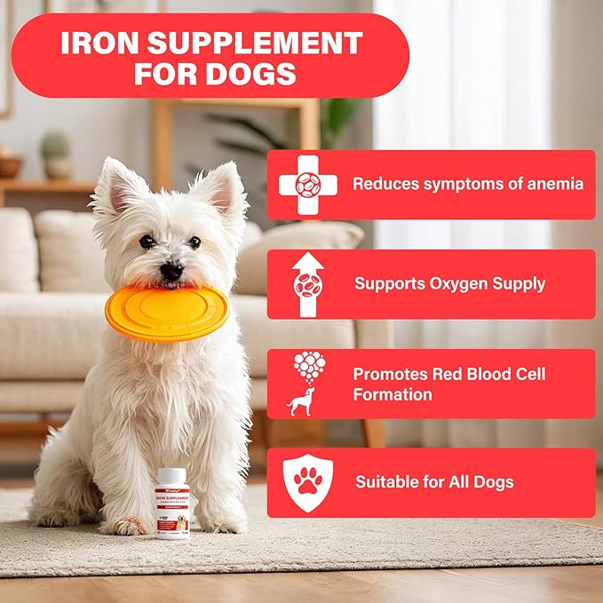 Iron Supplement for Dogs – Supports Blood Health Red Blood Cell Formation &amp Oxygen Supply for Anemia Vitamin C Folate Vitamin B12 Boost Energy and Improve Blood Circulation 120 Tablets