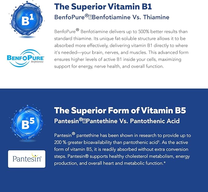 BioActive Vitamin B Complex - Blood Stream Ready Methylated B Complex - Featuring Methylfolate 3 BioActive Forms of B12 BenfoPure® B1 &amp Pantesin® B5 - 12 B Vitamins in Clinical Doses - 60 Servi