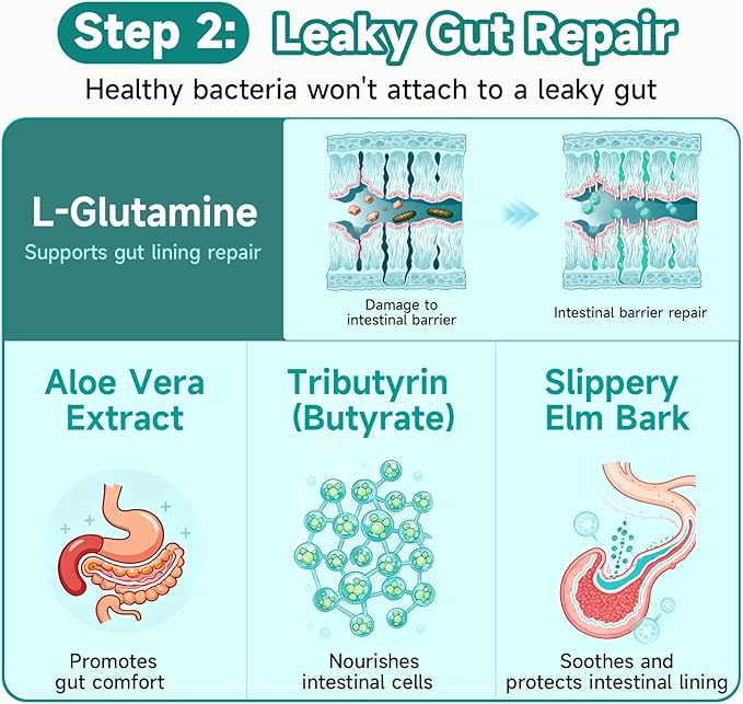 Gut Health Capsule Supplement Supports Microbiome Leaky Gut and Digestion with 80 Billion CFU Probiotics Prebiotics Digestive Enzymes 30-in-1 Gut Health Supplement 100 Capsules