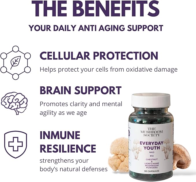 Everyday Youth - Anti-Aging Supplement - Brain &amp Cellular Energy Formula – Lion’s Mane Chestnut NAD B12 + Beta-Glucans - 120 Vegan Capsules