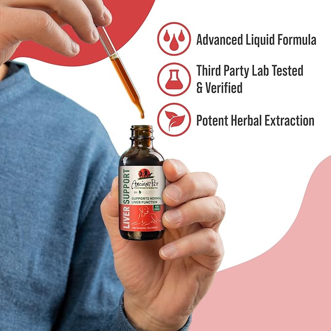 Ancient Pet Liver - Advanced Liver Support Supplement for Dogs - Liquid Delivery for Better Absorption - Milk Thistle Dandelion Artichoke &amp More!