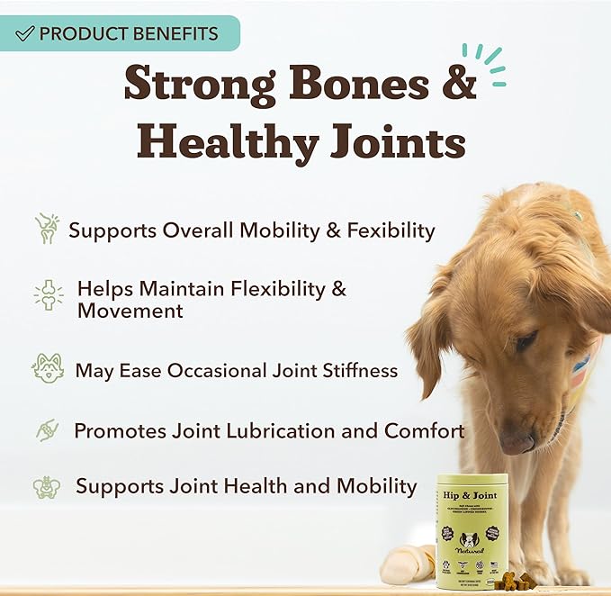 Natural Dog Company Hip &amp Joint Chews for Dogs with Glucosamine for Dogs + Chondroitin MSM &amp Turmeric Supports Mobility &amp Reduces Discomfort Stiffness Natural Pain Relief Joint Supplem