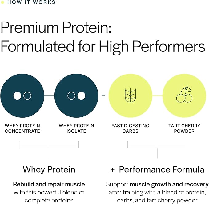 Gainful Performance Whey Protein Powder &amp Sweet Treat Flavor Bundle 25g Protein Supports Muscle Growth Recovery and Endurance No Artificial Ingredients 14 Servings + 14 Flavor Sticks