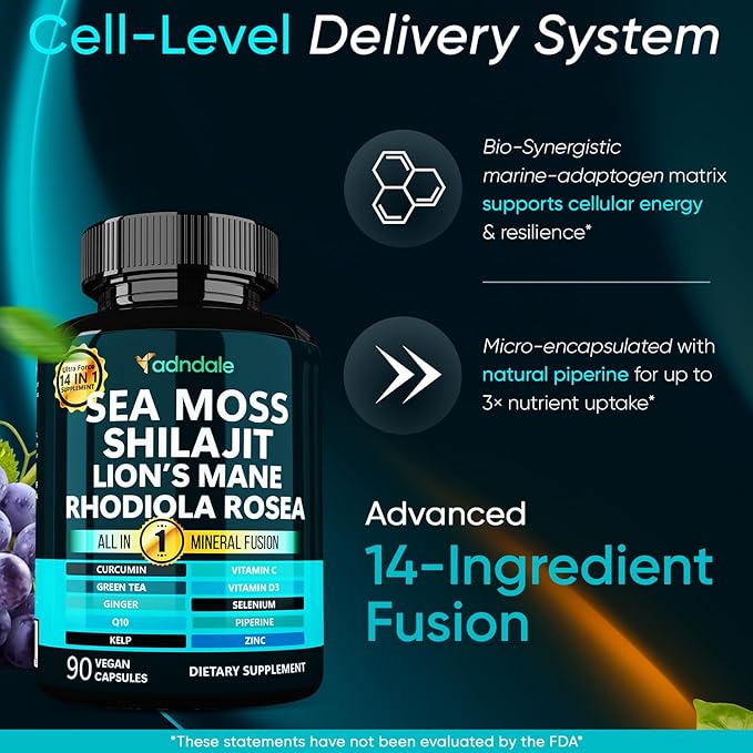 Adndale Sea Moss Capsules - Sea Moss Blend with Shilajit Lion's Mane Rhodiola &amp CoQ10-90 Count