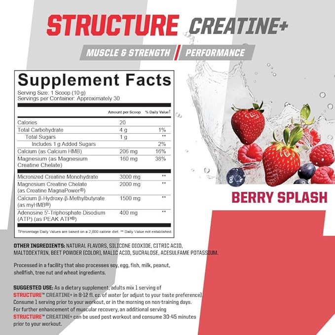 Undefined Nutrition Structure Creatine+ by Brian Shaw (30 Servings) –Micronized Creatine Monohydrate + Magnesium Creatine Chelate &amp HMB and Peak ATP-Strength Power Recovery (Berry Splash)