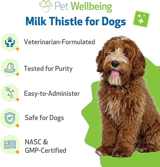 Pet Wellbeing Milk Thistle for Dogs - Organic Milk Thistle Supports Healthy Liver Function &amp Detoxification - NASC Certified &amp Vet-Formulated - 2 oz Liquid