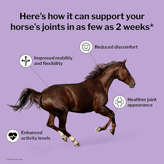 Formula 707 Joint 6in1 Equine Supplement 10 lb Bag – Support for Joint Integrity and Inflammatory Response in Horses – Green-Lipped Mussel MSM Glucosamine Chondroitin &amp Collagen