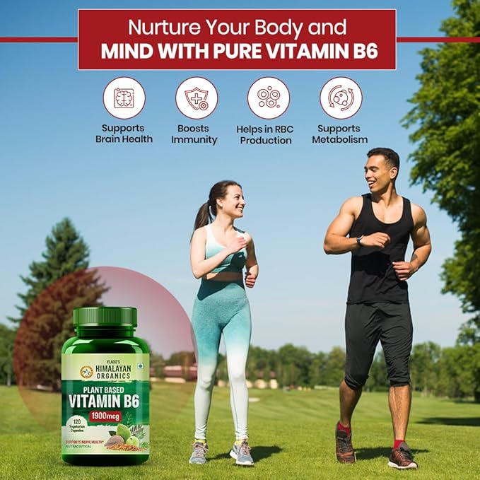 Himalayan Organics Organics Plant-Based Vitamin B6 | Supports Immunity Brain Health (120 Capsules)