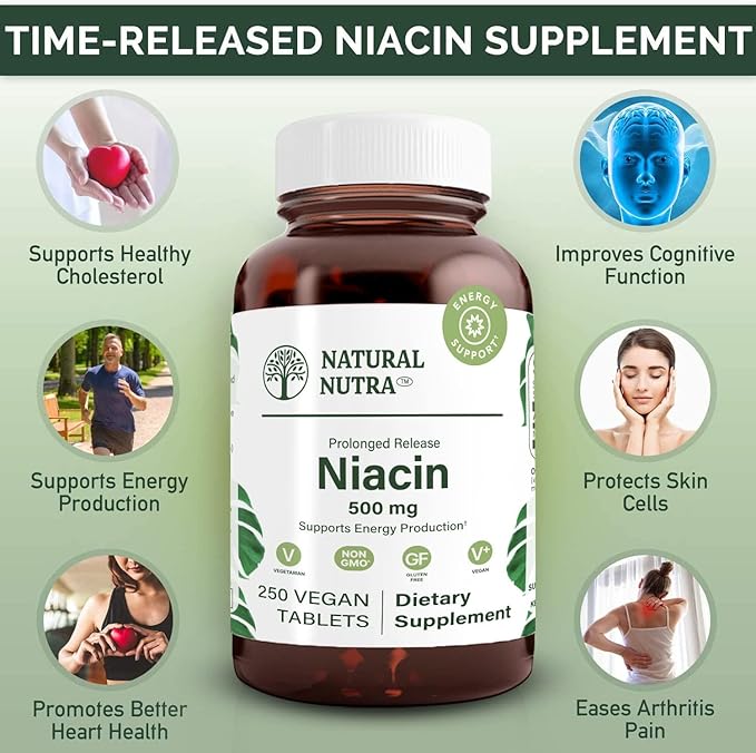 Natural Nutra Time-Release Slow Niacin 500mg (Vitamin B3) Support Healthy Cholesterol Promotes Cardiovascular Health Promotes Skin Cells and Improve Cognitive Function 250 Vegan Tablets