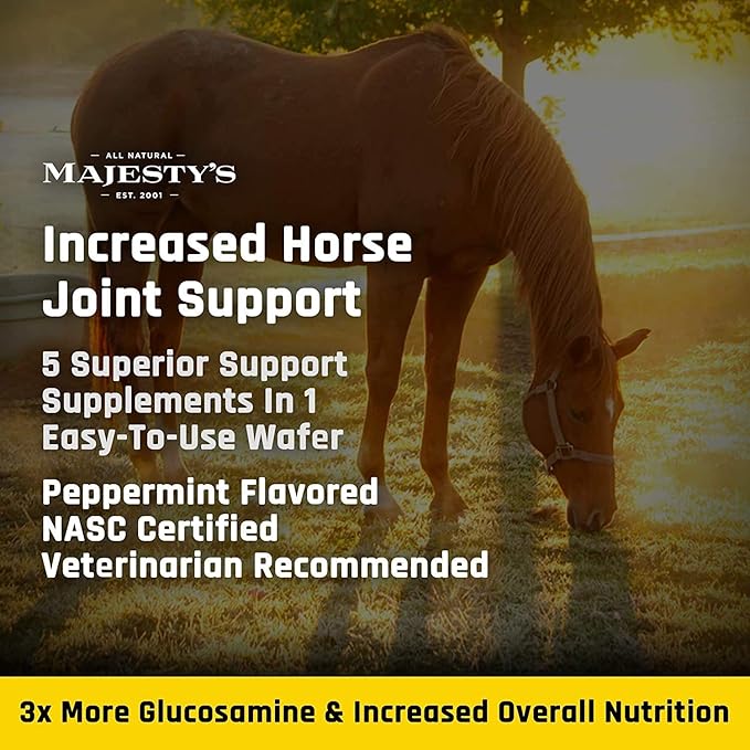Majesty's Flex XT Wafers - Superior Horse/Equine Joint Support with Increased Supplement Levels - Glucosamine MSM Yucca Vitamin C (Peppermint 2 Pack (120 Count Total))
