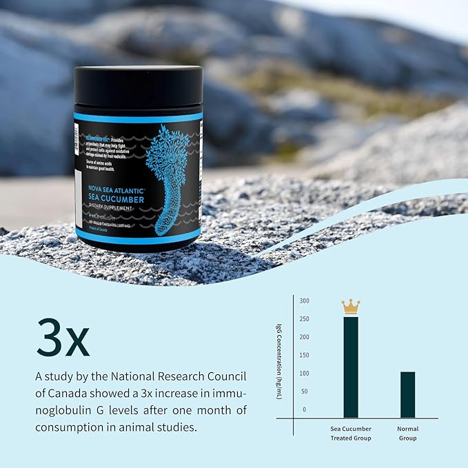 Wild Sea Cucumber Supplement Capsules Antioxidant Healthy Energy Supplement with Fucosylated Chondroitin Sulfate Collagen Glycosides Vitamins Minerals