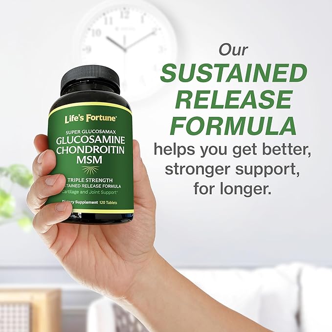 Life's Fortune Triple Strength Glucosamax - 1000mg Premium Glucosamine Chondroitin and MSM Supplement with Vitamin C for Joint Comfort &amp Mobility 120 Tab
