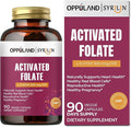 Activated Folate-L 5-MTHF DFE Supplement - Methylfolate B9 MTHF with Vitamin B12 CoQ10 &amp Red Raspberry - Methylated L-Methylfolate for Men and Women - 500 mcg - 90 Veggie Capsules