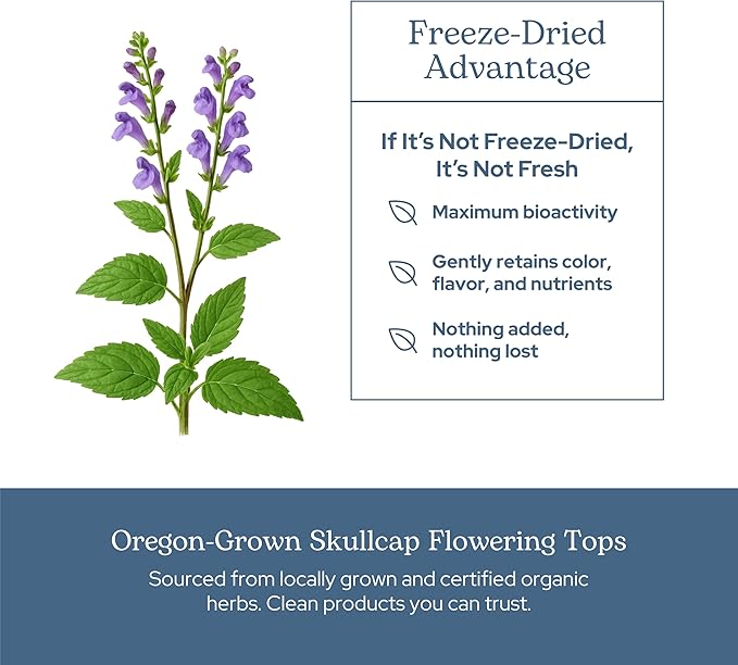 Eclectic Herb - Skullcap Capsules | Natural Sleep Calm &amp Relaxation Support | Herbal Supplement | Vegan Non-GMO Gluten Free Raw Freeze-Dried (90 CT | 350 mg)
