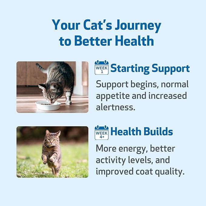 Pet Wellbeing Milk Thistle for Cats - Organic Herb Milk Thistle Liver Detox Support Antioxidants - NASC Certified &amp Vet-Formulated - 4 oz Liquid