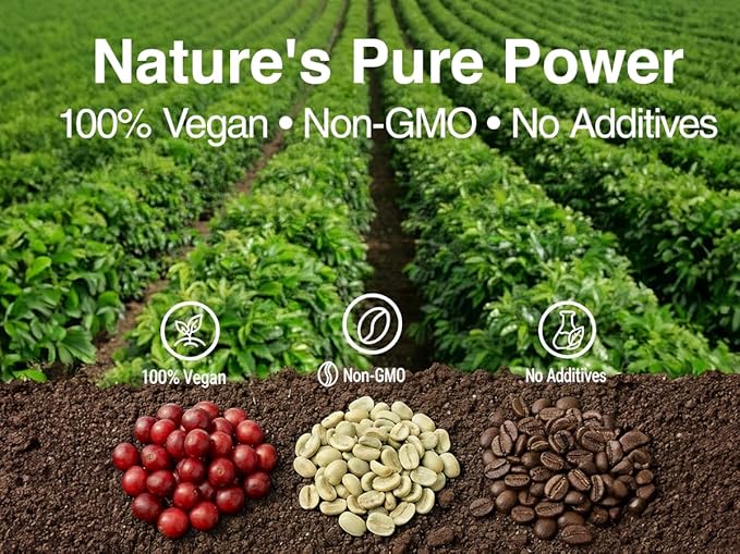 LOVITA Green Coffee Bean Extract Standardized to 50% Chlorogenic Acids 4:1 Concentrated for Metabolism Natural Antioxidant &amp Size-Reduction Support Plant-Based 180 Vegan Capsules