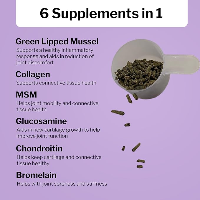 Formula 707 Joint 6in1 Equine Supplement 10 lb Bag – Support for Joint Integrity and Inflammatory Response in Horses – Green-Lipped Mussel MSM Glucosamine Chondroitin &amp Collagen