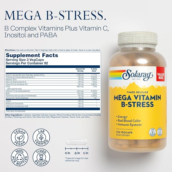 SOLARAY Mega Vitamin B Stress and Magnesium Glycinate 350mg Bundle - Timed Release Vitamin B Complex w/VIT C Chelated Magnesium Bisglycinate - Energy Relaxation and Immune Support Vegan 276/240ct