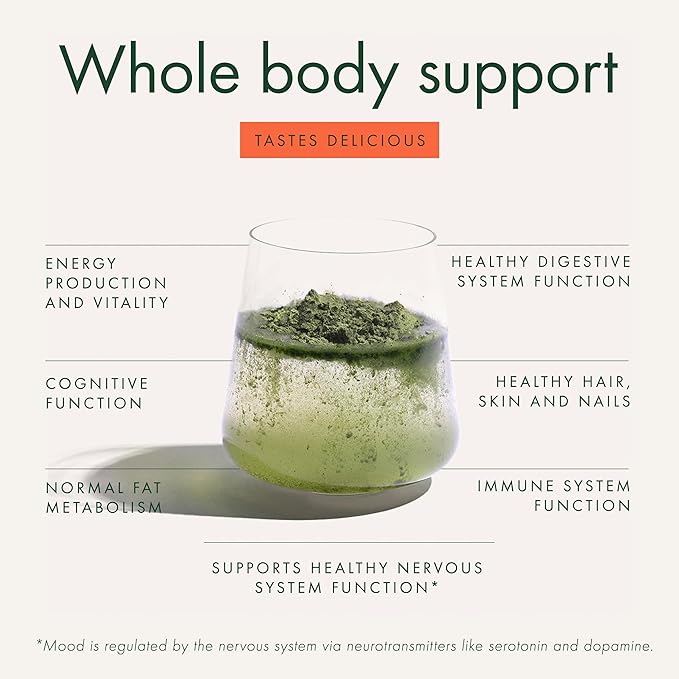 WelleCo The Super Elixir Daily Greens Powder Probiotic Drink Mix with Whole Foods Gluten Free Vegan Gut Health Powder Energy Immunity Healthy Skin Hair &amp Nails (Jar Blood Orange)
