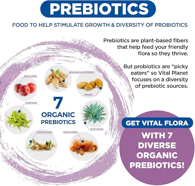 Vital Planet - Vital Flora Women’s Daily Probiotic 60 Billion CFU 60 Diverse Strains 7 Organic Prebiotics Vaginal and Immune Support Bloating Digestive Health Probiotics for Women 30 Capsules