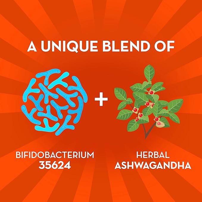 Align Probiotic Gut Health + Stress Support with Probiotics for Digestive Health and Ashwagandha to Help Calm Mind and Body* #1 Doctor Recommended Brand‡ 21 Capsules (Pack of 2)