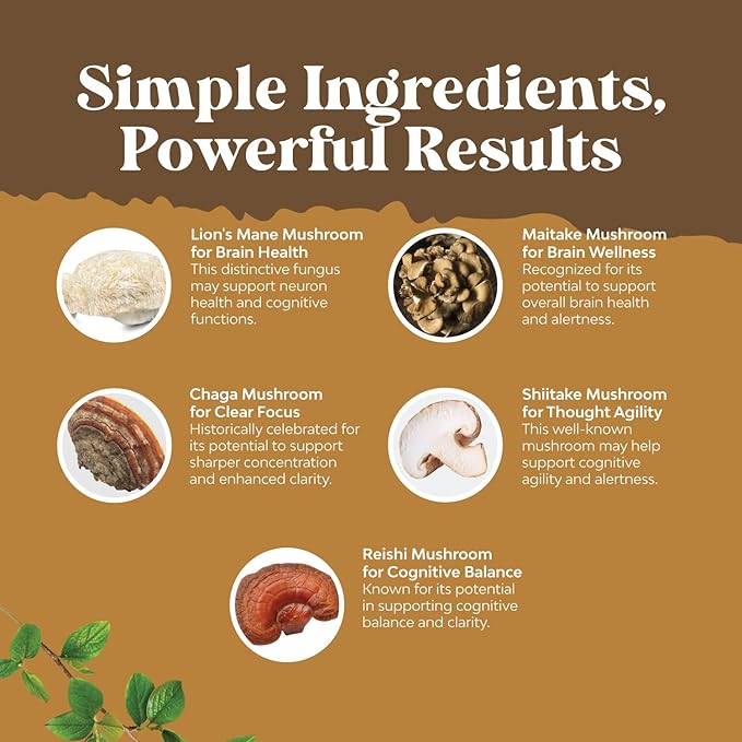 Bundle of Nootropic Memory Supplement with Vitamin B 12 Bacopa Monnieri Rhodiola Rosea DMAE Ginkgo Biloba and Advanced Lion's Mane Mushroom Supplement - Reishi Chaga Maitake Shiitake for Brain Support