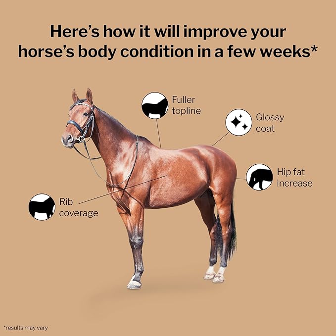 Formula 707 Weight Gain Equine Supplement Daily Fresh Packs 28 Day Supply - Palatable Calorie-Rich Nutritional Support for Hard-to-Keep and Senior Horses