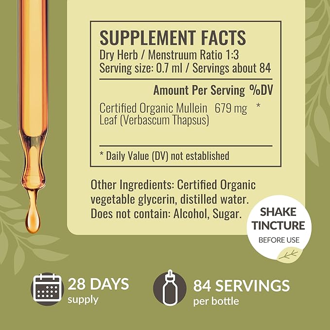 HERBAMAMA Liquid Drops Kit - Bundle of Turmeric Ginger Extract and Mullein Leaf Tincture 2 fl oz - Vegan Non-GMO Sugar &amp Alcohol-Free - 2 Pack
