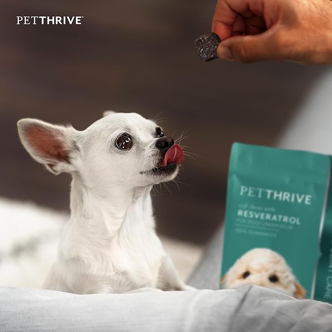 Dog Hip and Joint Support Supplement Soft Chews with Resveratrol Glucosamine Chondroitin Hyaluronic Acid Bacon Flavor Small Breed