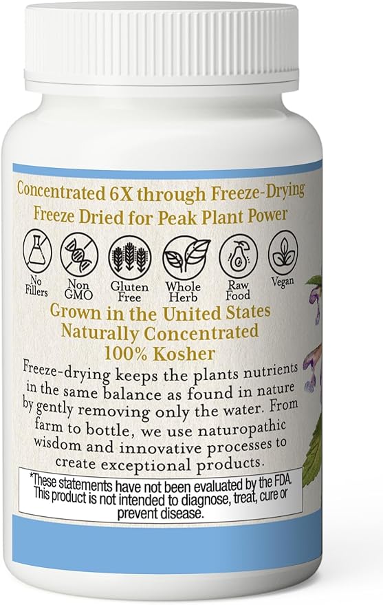 Eclectic Institute Raw Fresh Freeze-Dried Non-GMO Skullcap | Nervous System Support | 90 CT (350 mg)