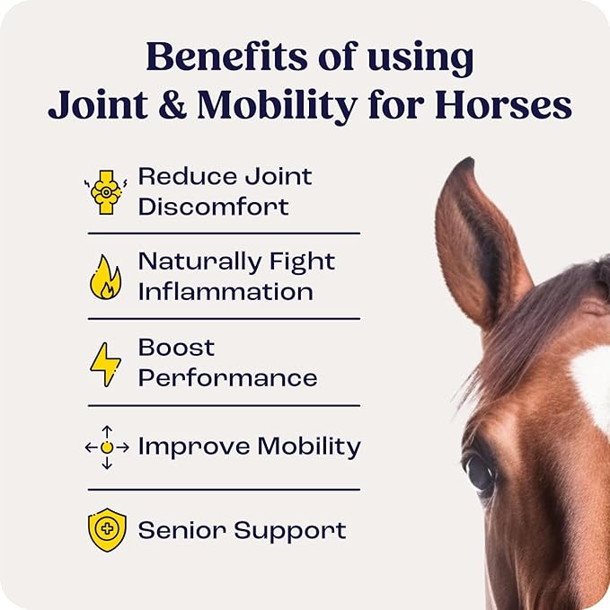 Summit Equine Joint &amp Mobility Bites Daily Supplement for Horses Liposomal Delivery Max Absorption Vet Recommended All-Natural Ingredients 100% Drug-Free Healthy Joints - 30 Bites