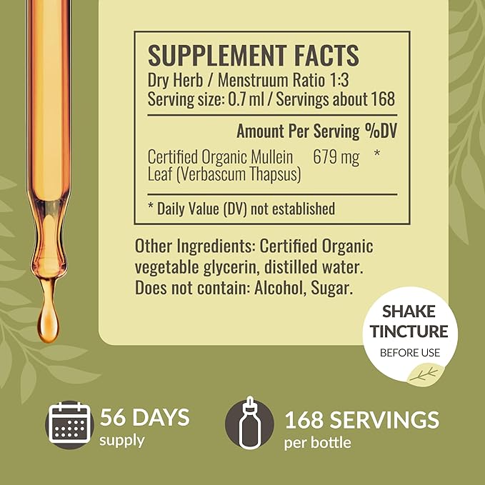 HERBAMAMA Liquid Drops Kit - Bundle of Turmeric Curcumin Extract &amp Mullein Leaf Tincture - Vegan Non-GMO Sugar &amp Alcohol-Free - 2 Pack