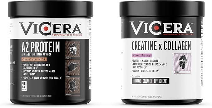 Chocolate Protein + Berry Flavor Creatine Collagen Powder A2/A2 Whey Casein Protein with Probiotics and Celtic Sea Salt (20 Servings) Creatine and Collagen Supplement Gluten Free (30 Servings)