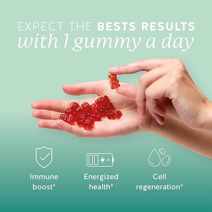 Bears with Benefits Immune Support Gummies – Vitamin C D B6 &amp B12 – Daily Immune Boost – Vegan Naturally Flavored (30 Gummies)