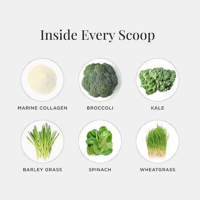 JSHealth Super Greens Powder - Greens &amp Collagen Powder - Superfood Powder with Marine Collagen Peptides Vitamins &amp Veggies 30 Servings