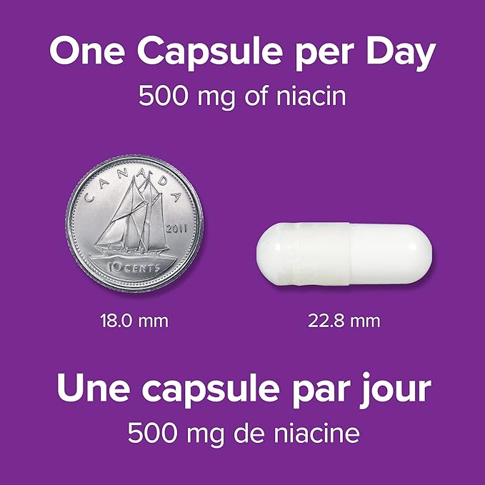 Webber Naturals No Flush Niacin Vitamin B3 Capsule 500mg 90 Count