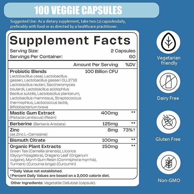 H.Pylori Support Probiotic 100 Billion CFU - Lactobacillus Reuteri Mastic Gum Berberine Zinc Carnosine Green Tea | Stomach Comfort &amp Gut Microbiome Care | Delayed-Release Vegan Capsules 120 C