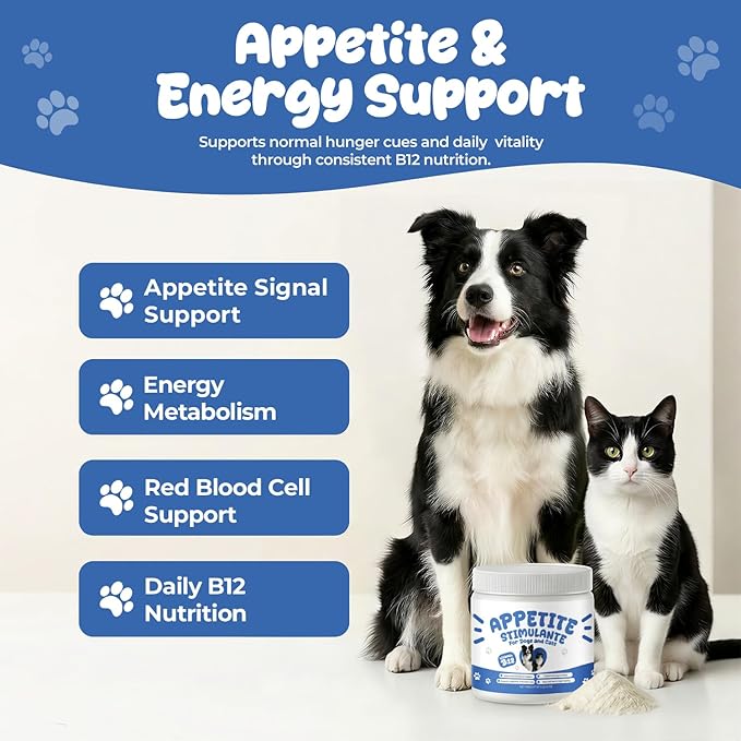 Appetite Stimulant Powder for Dogs &amp Cats Vitamin B12 Supplement with Methylcobalamin Supports Appetite Energy &amp Daily Vitality Dietary Supplement for Pets