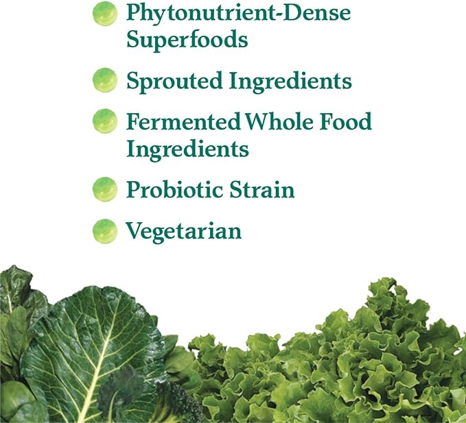 Garden of Life Perfect Food Super Green Formula - 14 Servings | 45 Superfoods Greens Fruit &amp Veggie Juice Superfood Powder Supplement Probiotics &amp Organic Spirulina for Digestion &amp Immu
