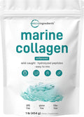 Micro Ingredients Marine Collagen Peptides Powder 1 lb | Type I Marine Collagen + Natural Protein | Wild-Caught Fish Source | Unflavored | Pescatarian Non-GMO