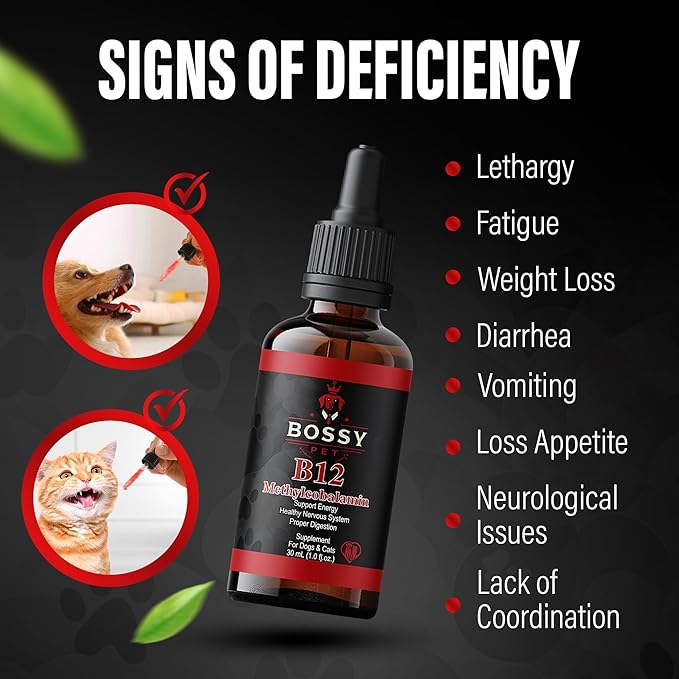 Vitamin B12 for Dogs &amp Cats - Liquid Supplement for Dogs &amp Cats - Vet-Formulated Methylcobalamin Drops - Supports Energy Nerve Function &amp Appetite - Fast-Absorption- Easy to Administer.