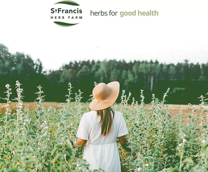 St. Francis Herb Farm Strest (3.4floz) USDA Certified Organic Ashwagandha Based Adaptogen Formula Targeted at Stress Relief (1 Bottle) GMO-Free Vegan Vegetarian.