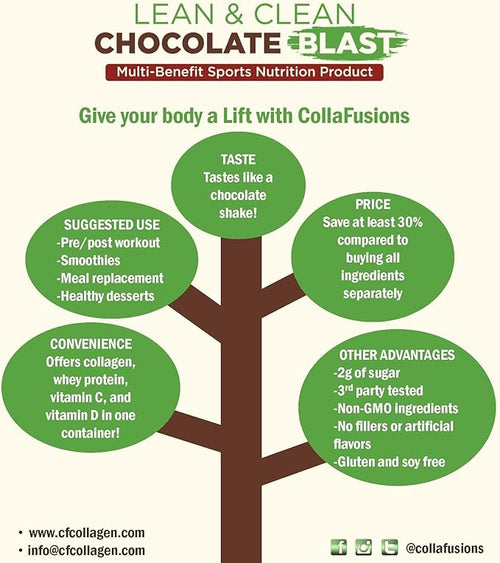24 Servings 20g Whey Protein Isolate 5g Collagen Peptides Vitamin C &amp D Health Beauty Recovery Chocolate