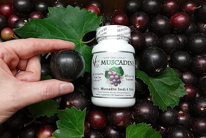 VineLife Muscadine Grape Seed &amp Skin 650mg - 60 Veggie Capsules - Antioxidant Superfood - 1300mg Per Serving - Natural Resveratrol
