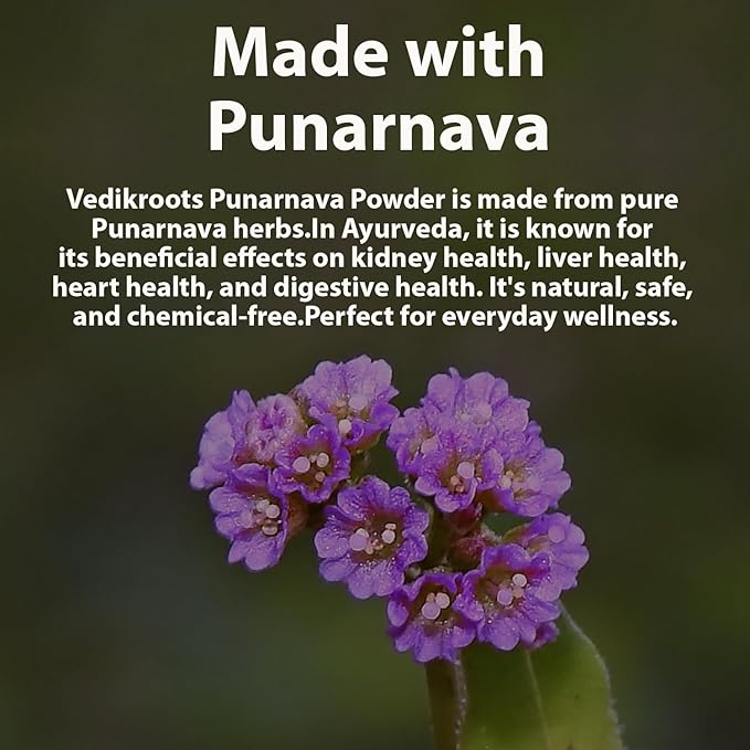 Punarnava Powder | 100% Natural Ayurvedic Herb | Traditionally Used to Maintain Detox &amp Helps in Digestive Process | 100g (Pack of 1)